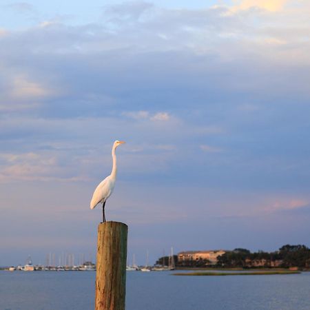 Stoney Creek Villa 299 Hilton Head Island Bagian luar foto