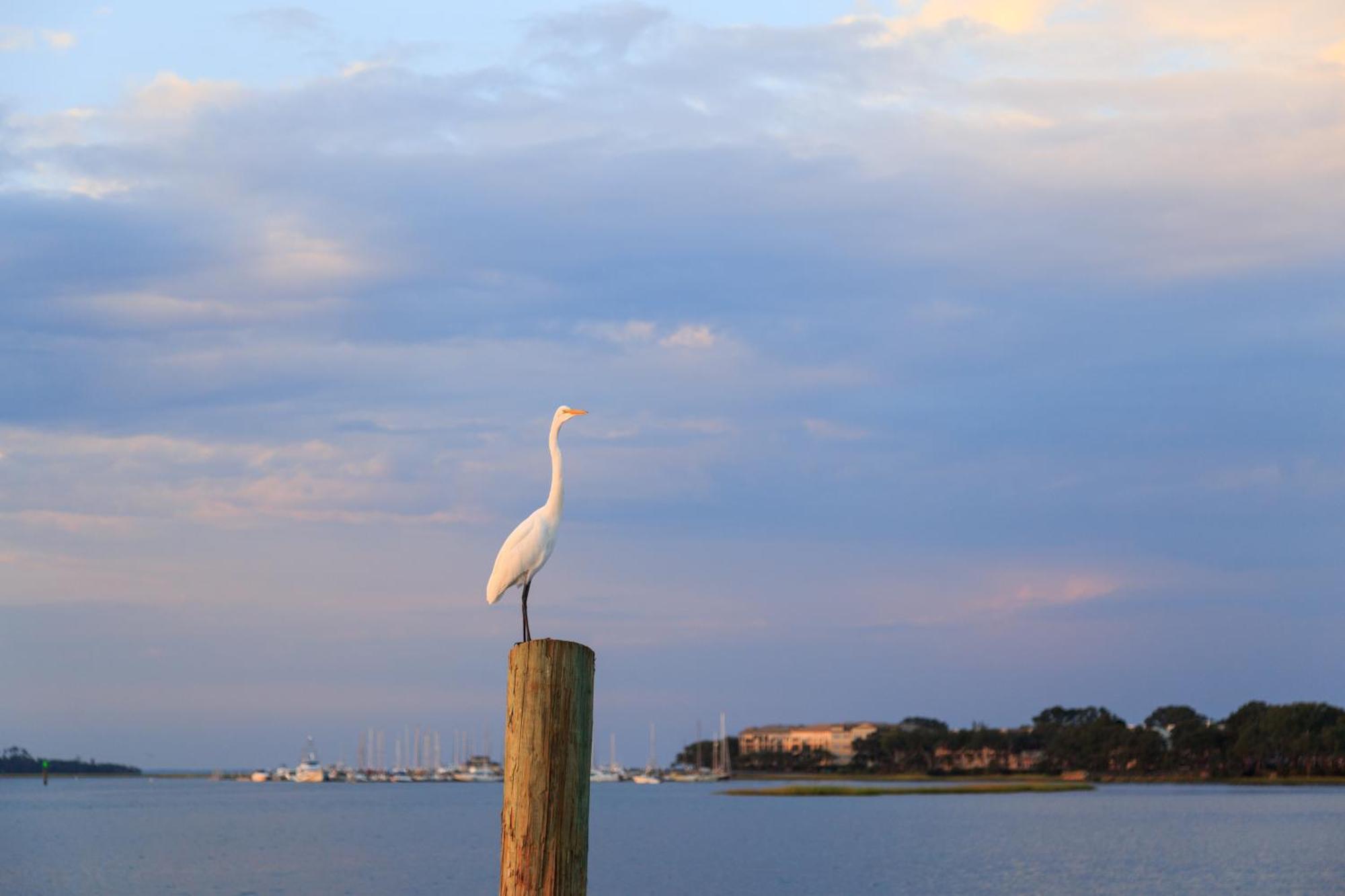 Stoney Creek Villa 299 Hilton Head Island Bagian luar foto