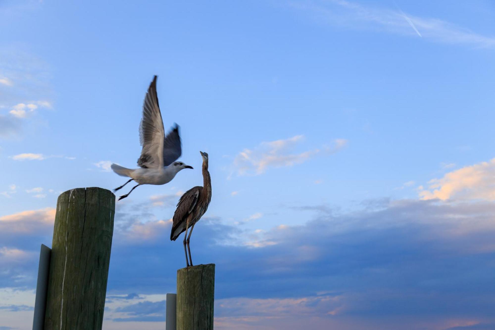 Stoney Creek Villa 299 Hilton Head Island Bagian luar foto