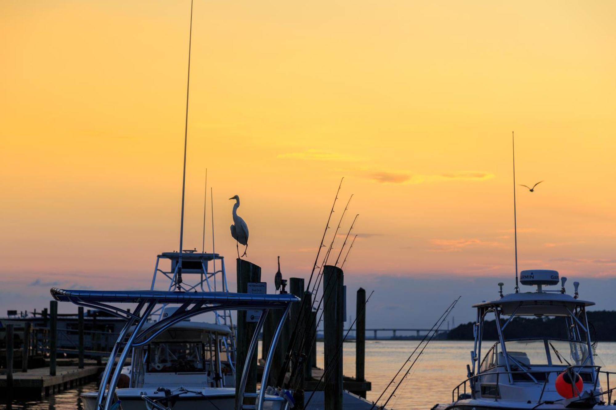 Stoney Creek Villa 299 Hilton Head Island Bagian luar foto